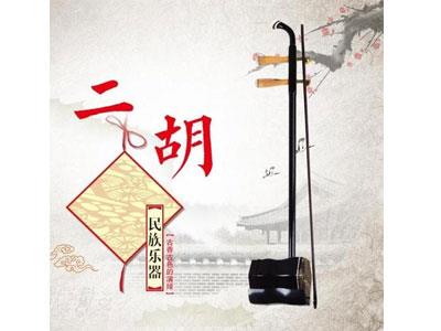 招聘漳州二胡家教老师